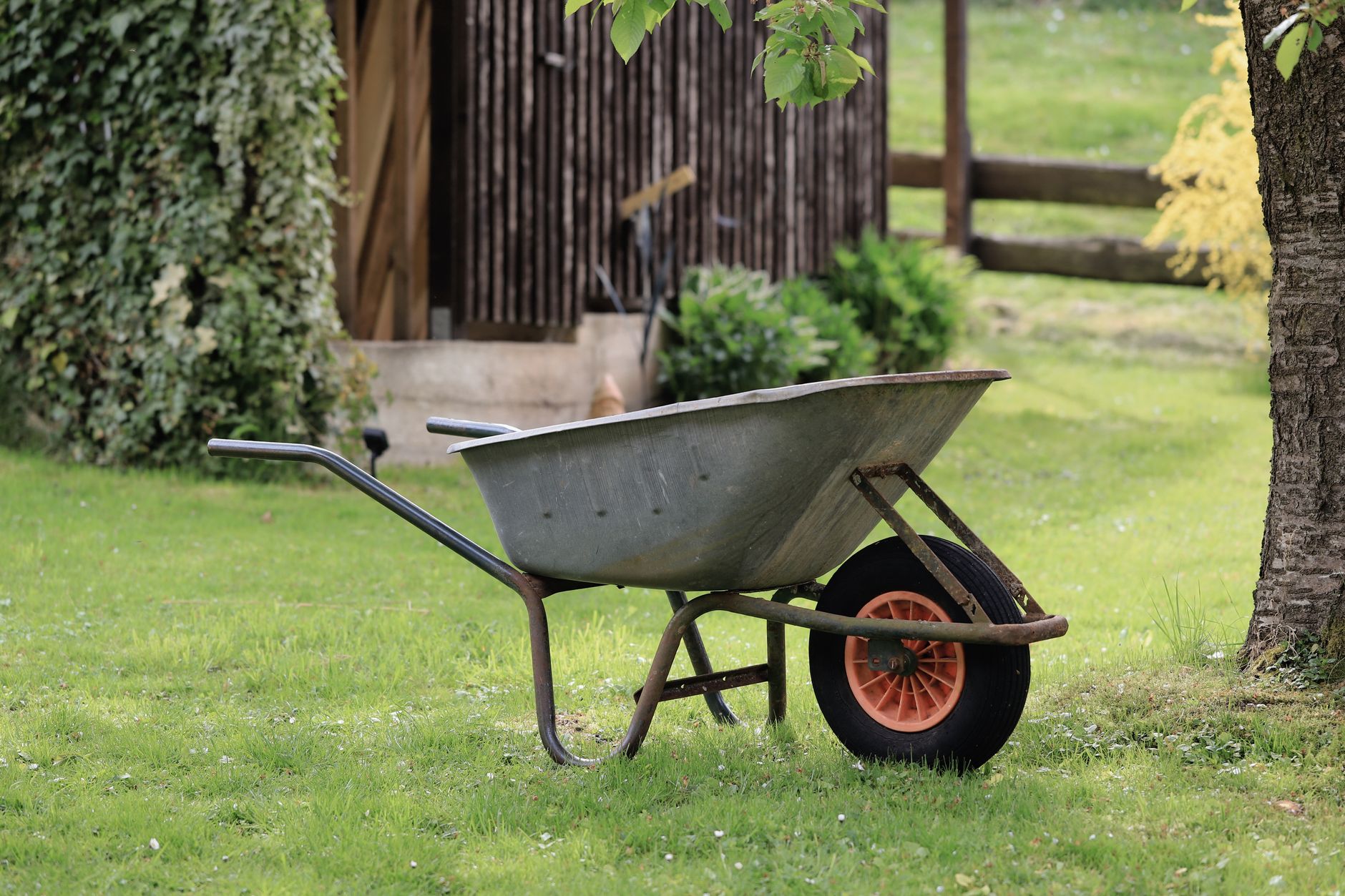 Weed Control – Cameron
