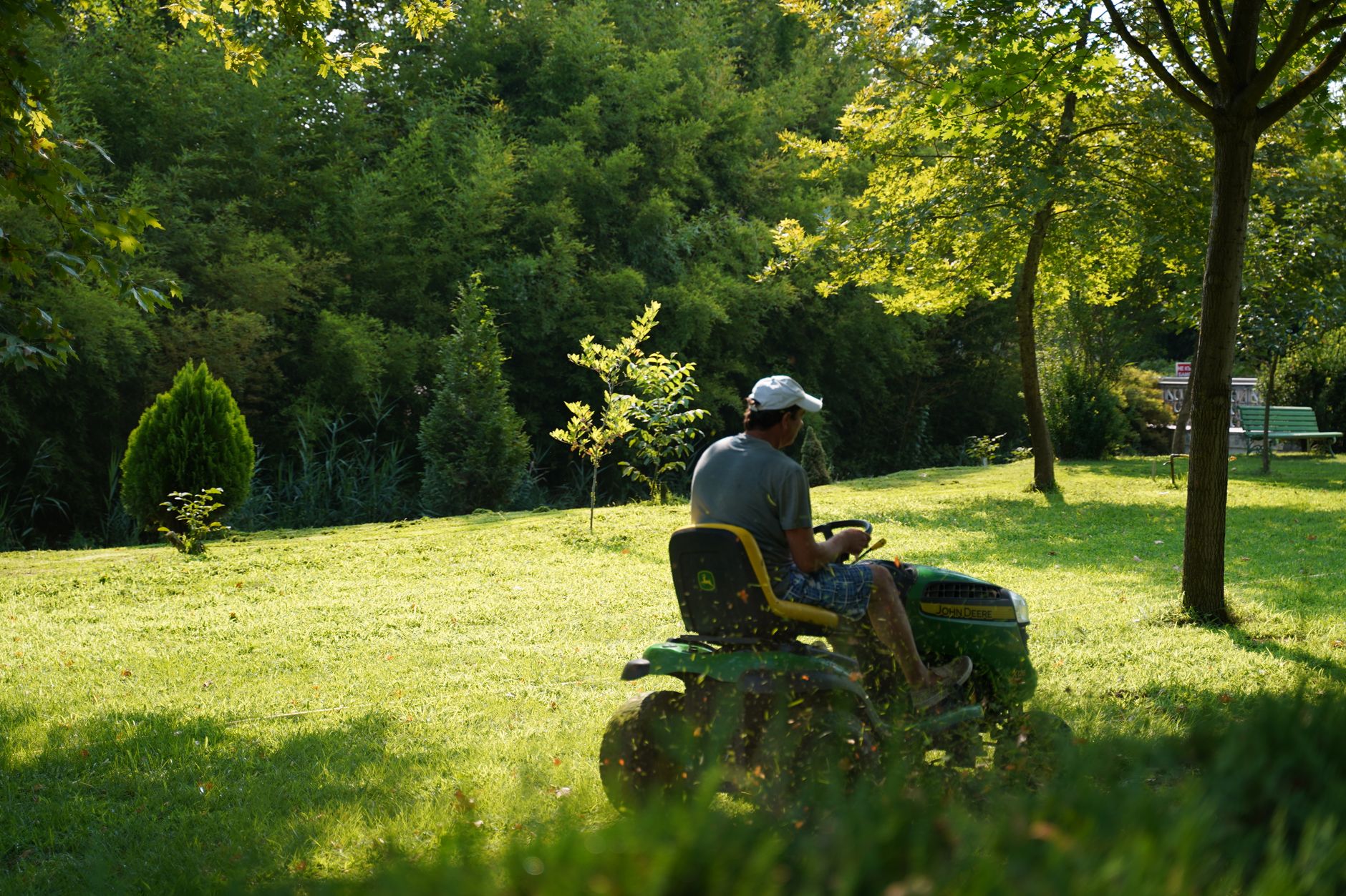 Aeration & Overseeding – Cameron